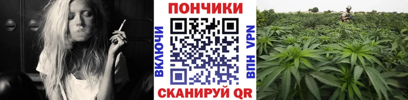 Наркошоп купить Амфетамин  Меф  A PVP  ГАШ  МАРИХУАНА  Нытва