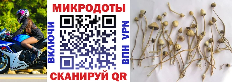Галлюциногенные грибы Psilocybine cubensis Купить где Нытва